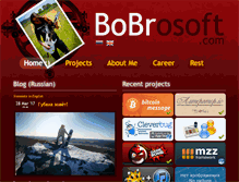 Tablet Screenshot of bobrosoft.com